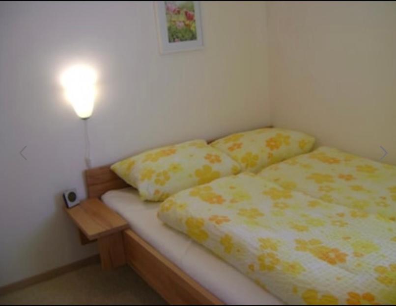 Komfort Ferienwohnung Wunder ゴスラー エクステリア 写真