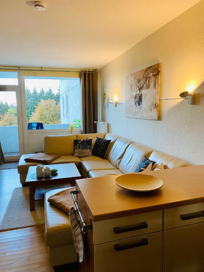 Komfort Ferienwohnung Wunder ゴスラー エクステリア 写真